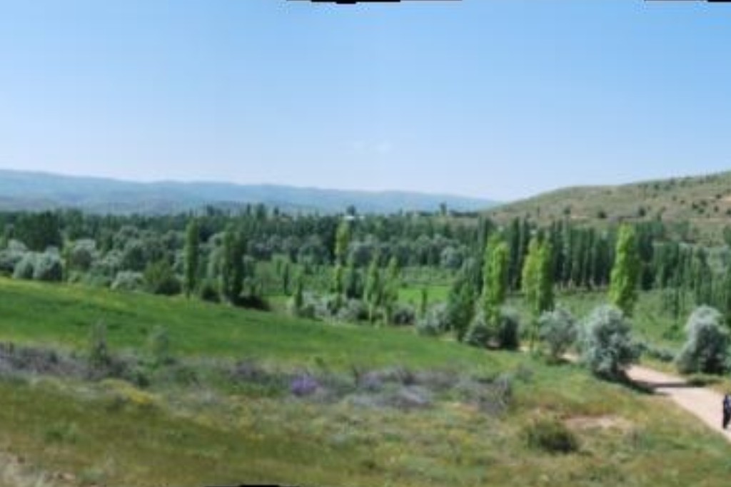 Sivas-Şarkışla Bozkurt Barajı Planlama Raporu